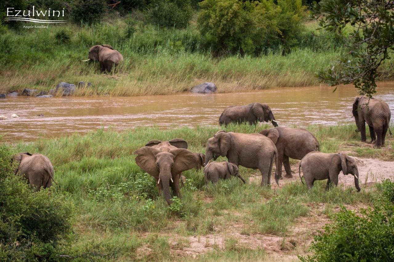 Ezulwini Game Lodges Mica Esterno foto