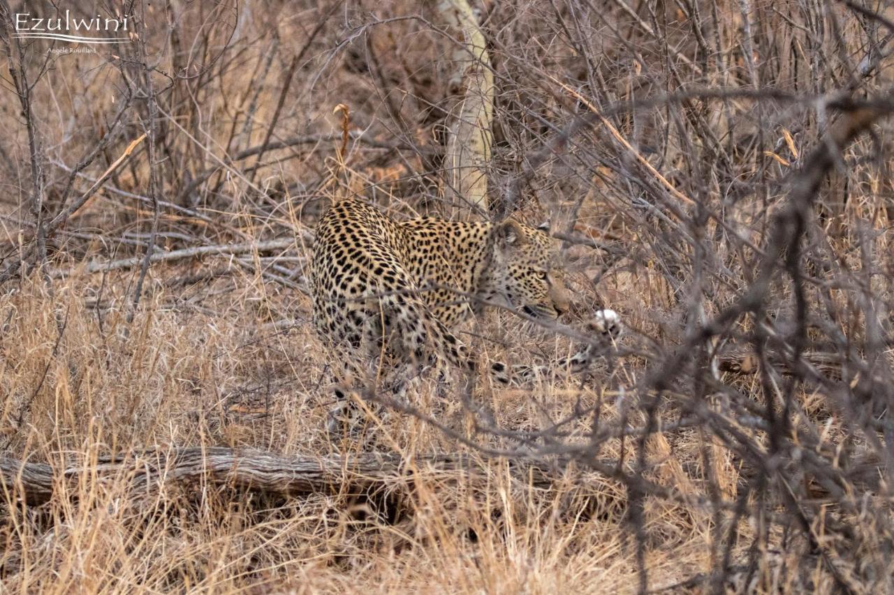 Ezulwini Game Lodges Mica Esterno foto